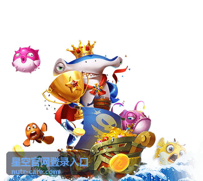 星空官网登录入口页面视觉展示