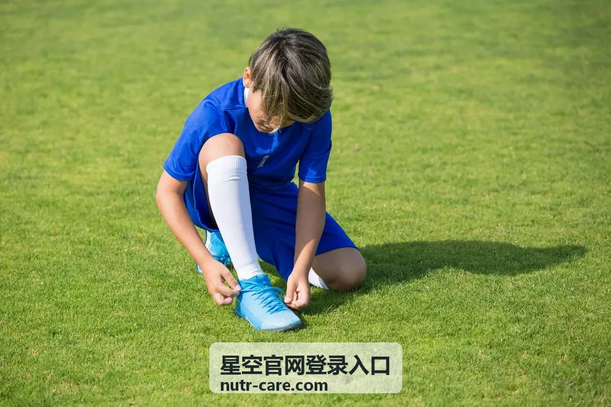 星空官网登录入口账号验证流程示意